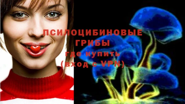 бутират Пересвет