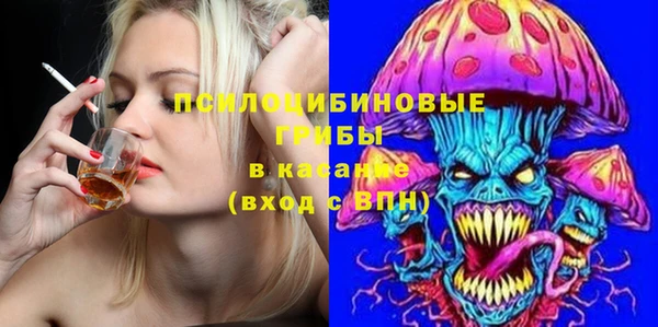 экстази Покачи