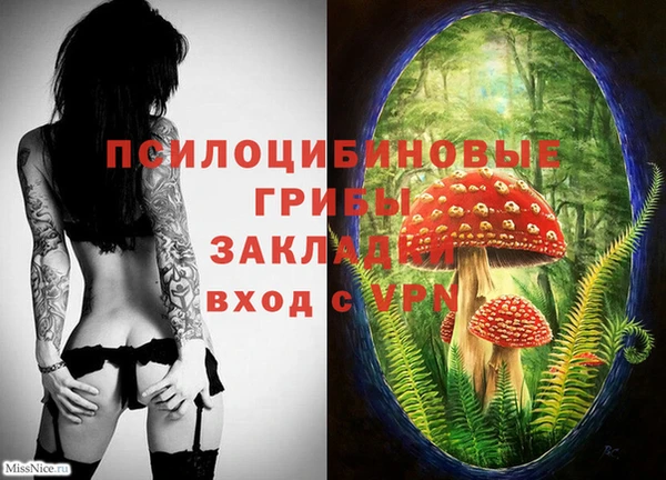 экстази Покачи
