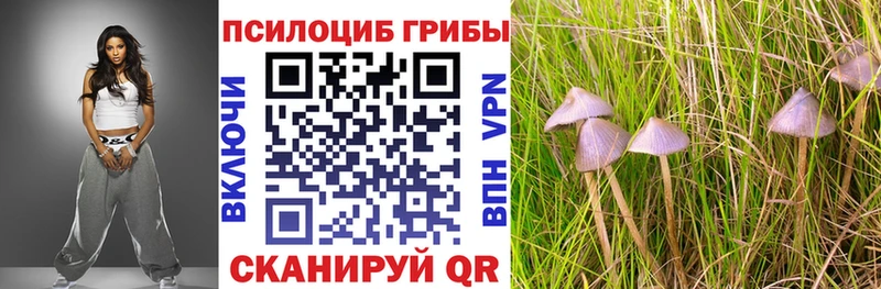 Галлюциногенные грибы Psilocybine cubensis  закладки  Рыльск 
